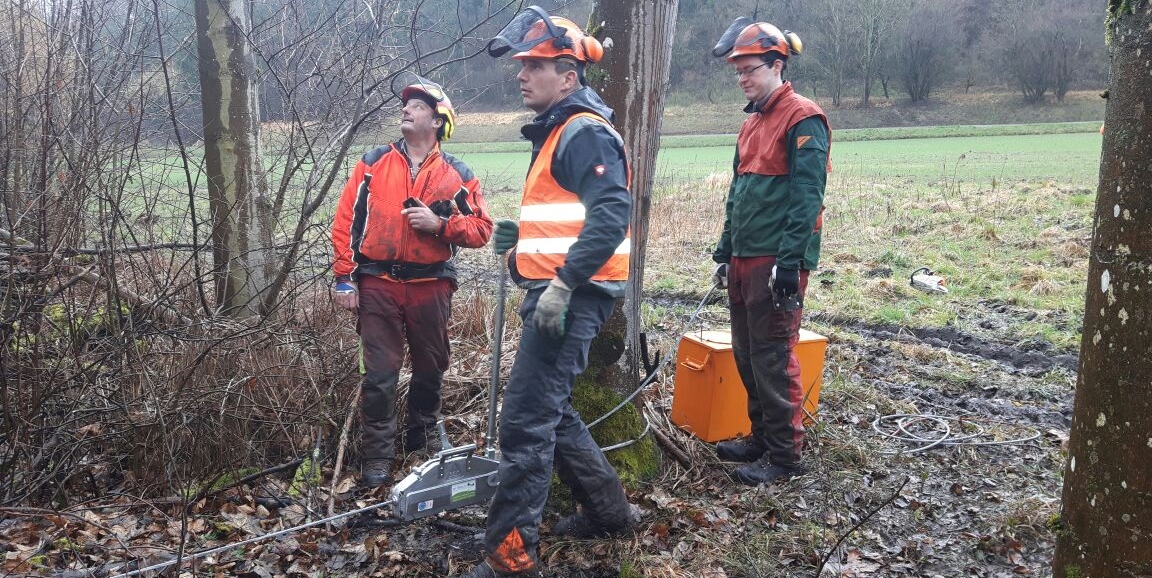 Holzernteseminar Michael Engels